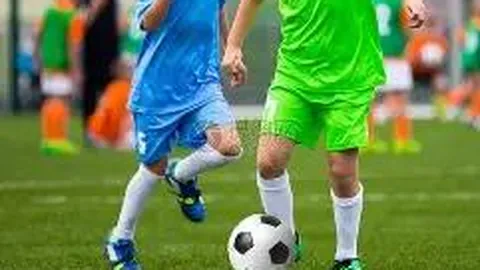 深圳赛区十五运会场馆：科技创新引领焕新升级之旅