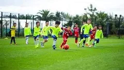 LOL英雄联盟竞猜大厅 产品 084028 40e