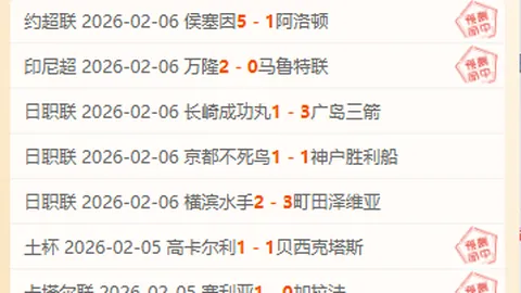 张景胤在俄超排球赛场上的点点滴滴