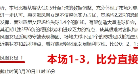 国足杭州征程总结：双胜双平表现抢眼，2025年大胜越南6-1